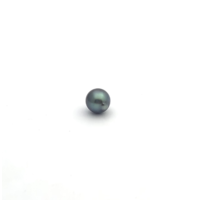 Black South Sea Button 9.1 A-