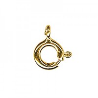 9ct Yellow 6mm Boltring