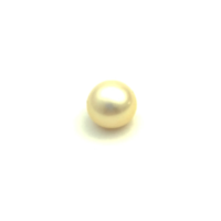 South Sea Gold Button 11.8 WG2