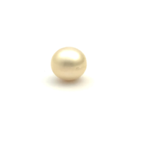 South Sea Gold Button 10.8 WG3
