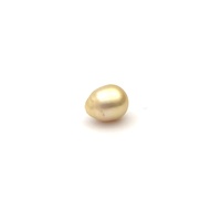 South Sea Gold S/Baroq 10.4 G2