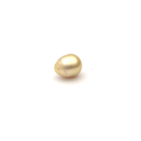 South Sea Gold S/Baroq 10.4 G2