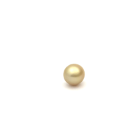 South Sea Gold S/Baroq 10.8 G2