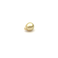 South Sea Gold S/Baroq 11.0 G2