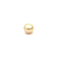 South Sea Gold S/Baroq 11.1 G2