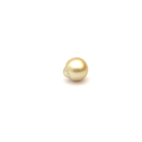 South Sea Gold S/Baroq 11.1 G2