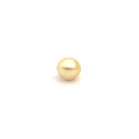 South Sea Gold S/Baroq 11.6 WG