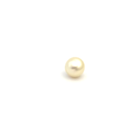 South Sea Gold S/Barq 12.2 WG2