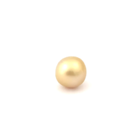South Sea Gold Round 10.8 G2