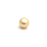 South Sea Gold Round 9.9 G2