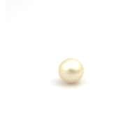 South Sea Gold S/Rnd 13.7 PW2