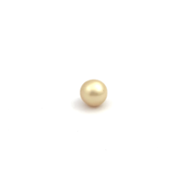 South Sea Gold Oval 11.3 G2