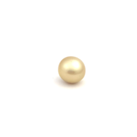 South Sea Gold Button 12.2 G2