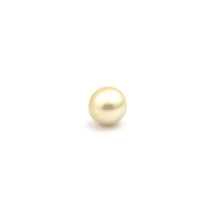 South Sea Gold Button 11.6 WG2