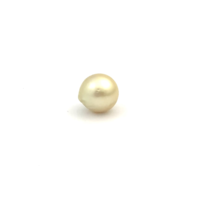 South Sea Gold Button 11.7 G2