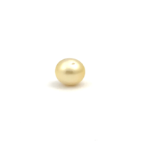 South Sea Gold Button 10.6 WG2