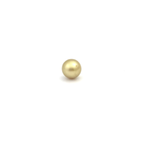 South Sea Gold S/Rnd 10.0 G2