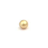 South Sea Gold S/Baroq 10.6 G2