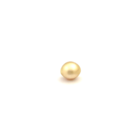 South Sea Gold Button 11.1 G2