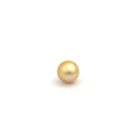 South Sea Gold S/Rnd 10.8 G2
