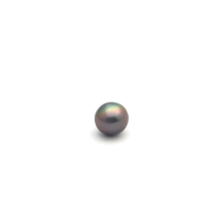 Black South Sea Button 10.4 A-
