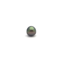 Black South Sea Button 11.2 A-