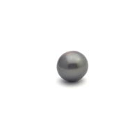 Black South Sea Button 12.7 A-