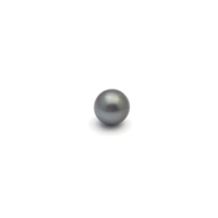 Black South Sea Button 11.3 B+