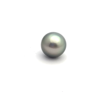 Black South Sea Button 12.5 B+