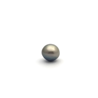 Black South Sea Button 12.8 B