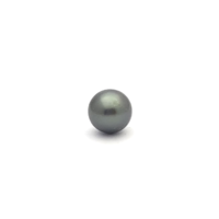 Black South Sea Round 10.9 B