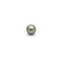 Black South Sea Round 10.6 B-