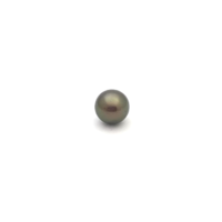 Black South Sea Round 10.7 B-