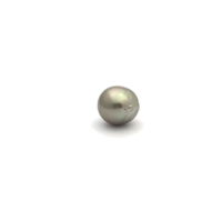 Black South Sea S/Baroq 12.6 A