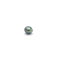 Black South Sea S/Baroq 9.8 A-