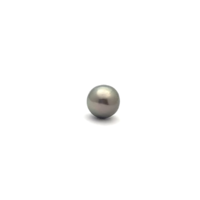 Black South Sea S/Baroq 11.4 B