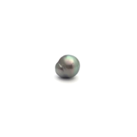 Black South Sea S/Baroq 12.4 B