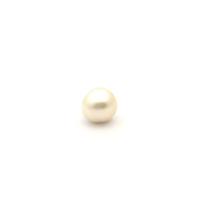 White South Sea S/Brq 11.0 PW2