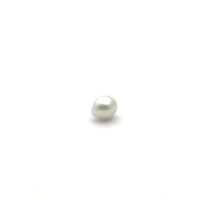 White South Sea S/Brq 11.0 PW1