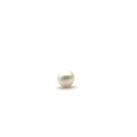 White South Sea S/Brq 11.2 PW2