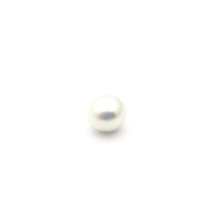 White South Sea S/Brq 11.3 PW2