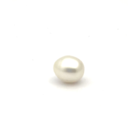 White South Sea S/Brq 12.0 W2