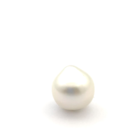 White South Sea S/Brq 12.0 W1