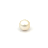 White South Sea S/Brq 12.1 PW2