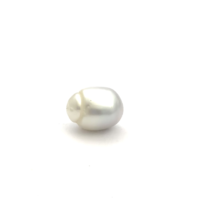 White South Sea Brq 12.2 SW2