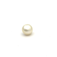White South Sea S/Brq 12.7 WC2