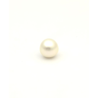 White South Sea B/ton 10.6 PW2