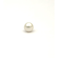 White South Sea B/ton 10.5 PW1