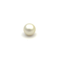 White South Sea B/ton 13.1 W3
