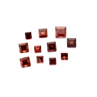 Garnet Sq/Carre Stone 2x2mm